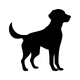 Caninos