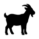 Caprinos