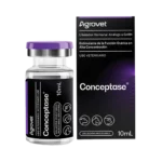 CONCEPTASE
