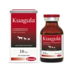 KUAGULA