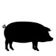Porcinos