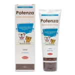 POTENZA