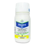 REGENT