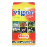 VIGOR PLUS